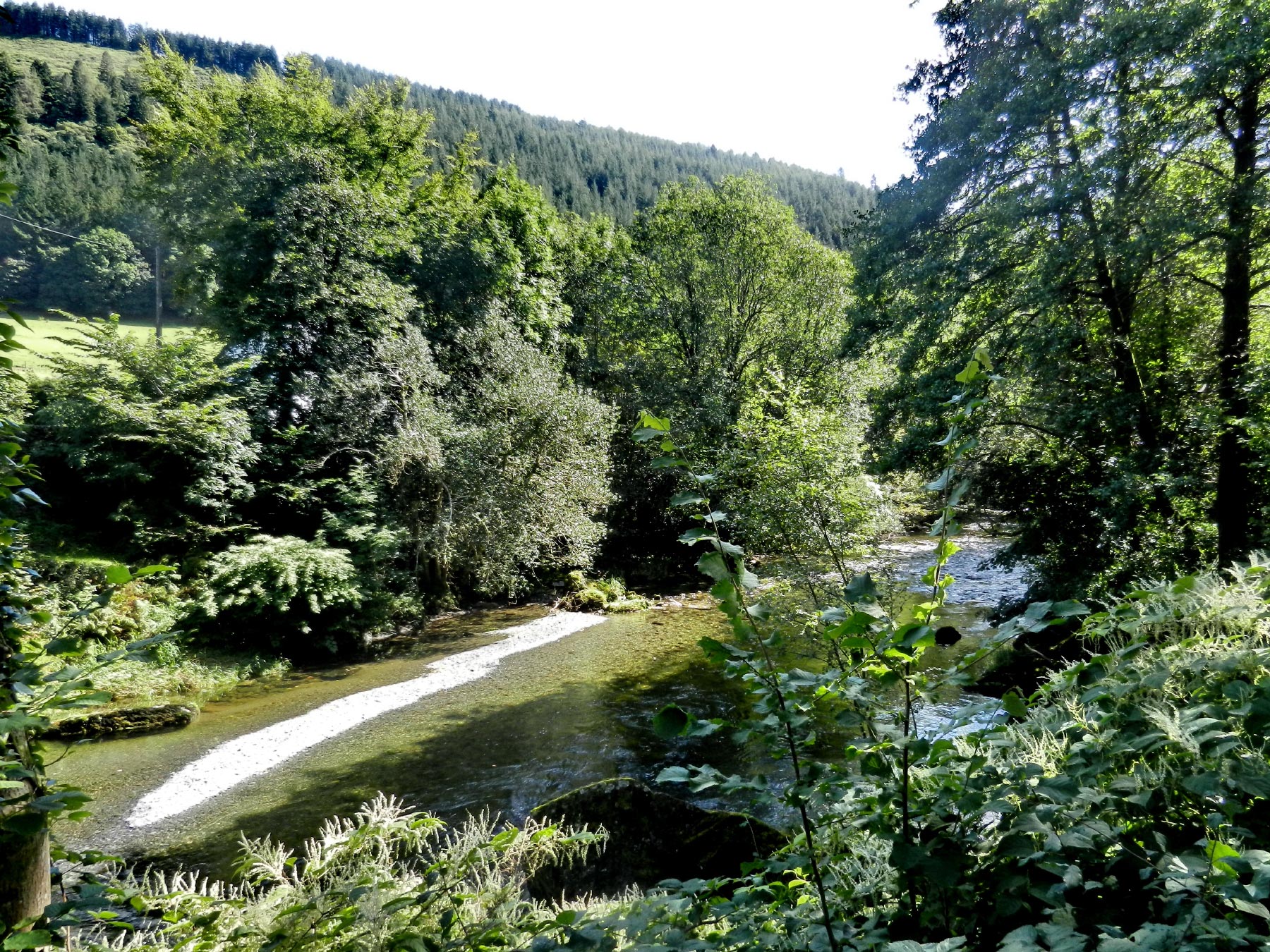 Meirion Mill